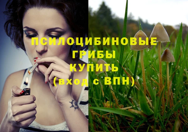 ПСИЛОЦИБИНОВЫЕ ГРИБЫ Богданович