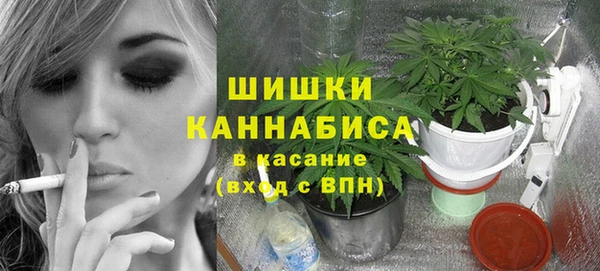 ПСИЛОЦИБИНОВЫЕ ГРИБЫ Богданович