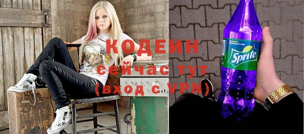 ПСИЛОЦИБИНОВЫЕ ГРИБЫ Богданович
