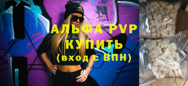 ПСИЛОЦИБИНОВЫЕ ГРИБЫ Богданович