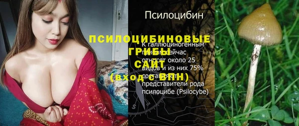 скорость mdpv Богородск